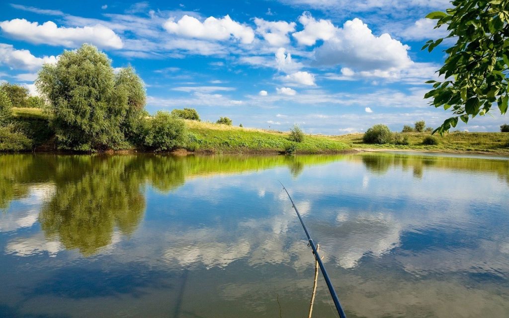 rybalka na baze otdykha mesto rybnoe v kievskoj oblasti f