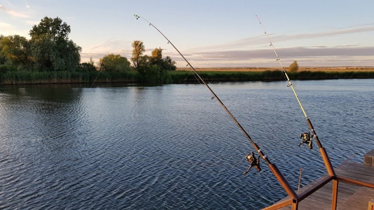 Рыбалка на Днестре: богатство природы и популярные места для увлекательного отдыха